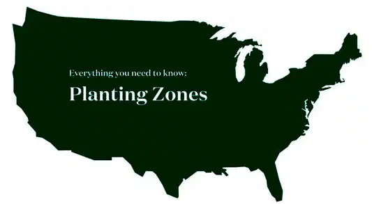 Gardening 101: Understanding USDA Plant Hardiness Zones
