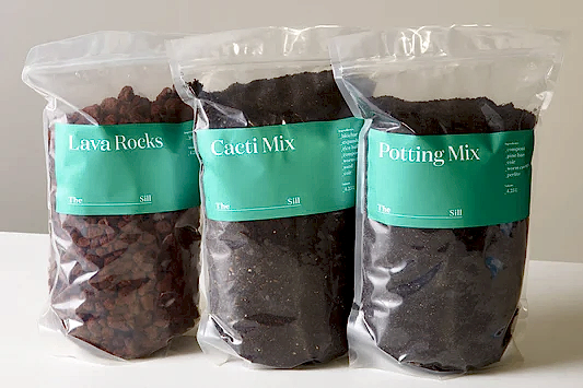 Plant Care: Potting Mix 101