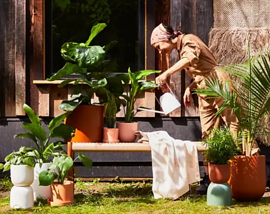 Patio Gardening 101: Growing in Containers