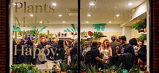 The Sill Brooklyn Store Opening