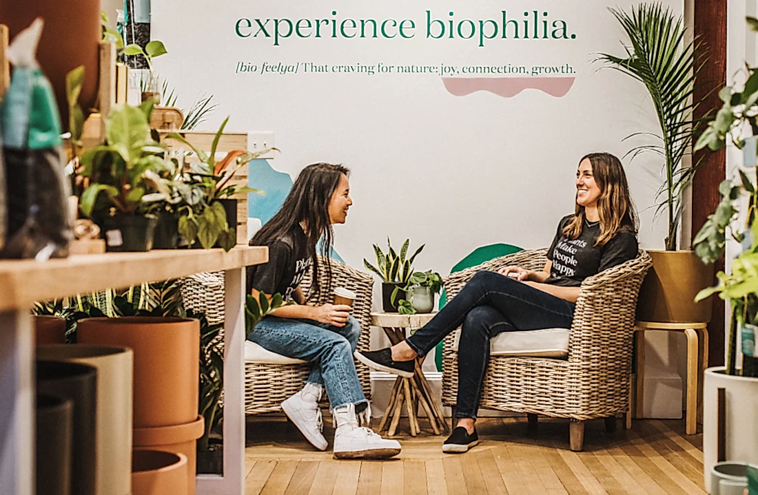 the benefits of indoor plants boost mood clean air reduce stress