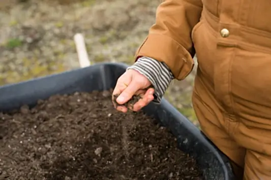 Gardening 101: Understanding Your Soil Type