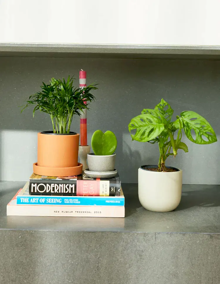 Housewarming Gifts