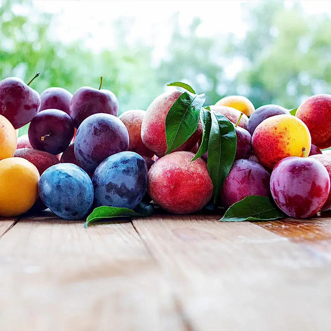 Fruit Cocktail Tree
