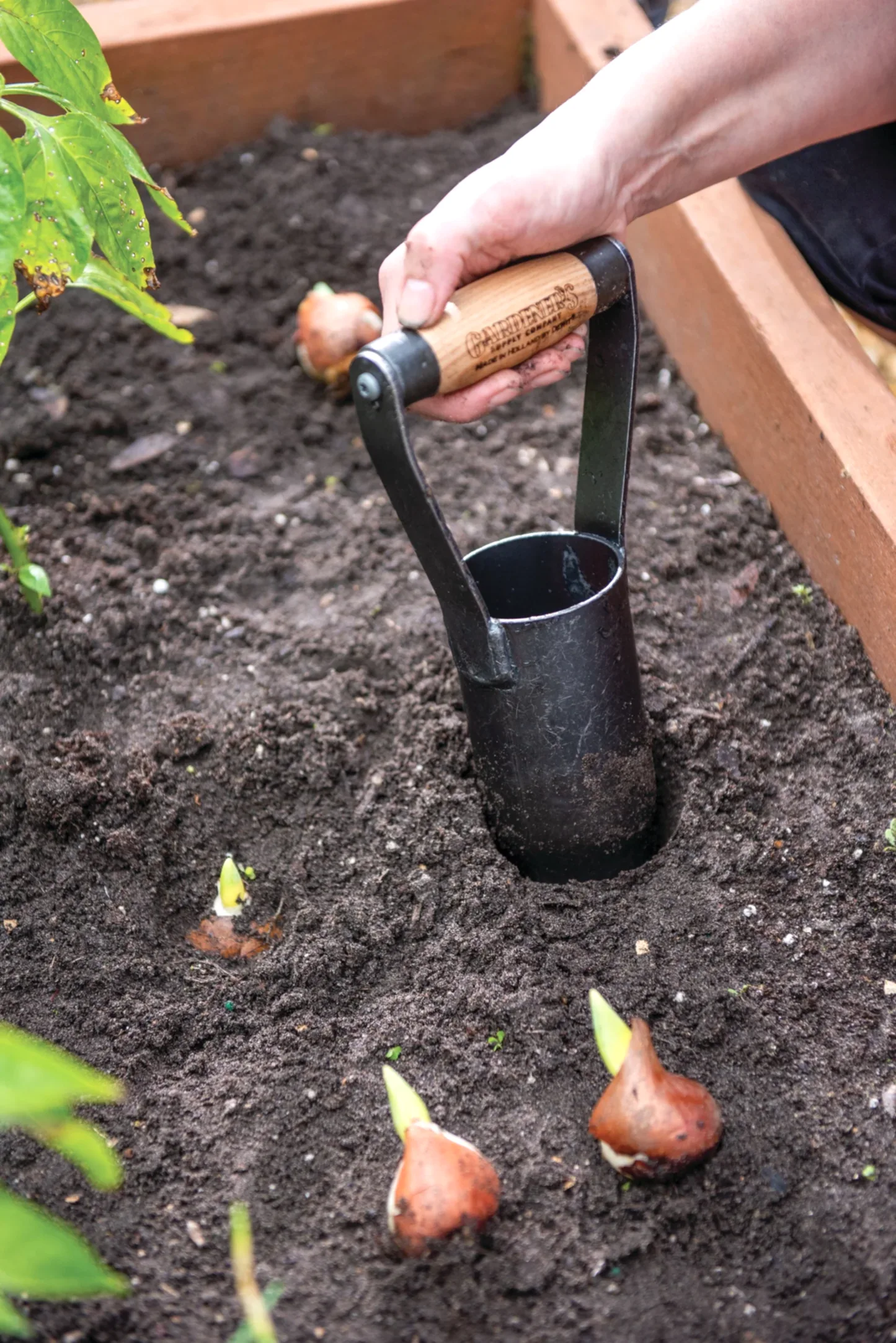 Gardener's Lifetime Large Bulb Planter