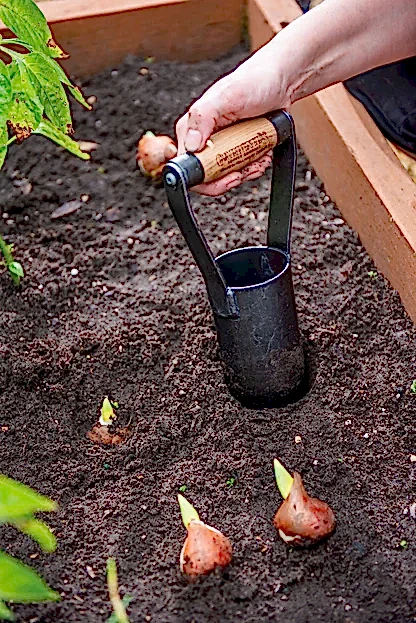 Gardener's Lifetime Large Bulb Planter