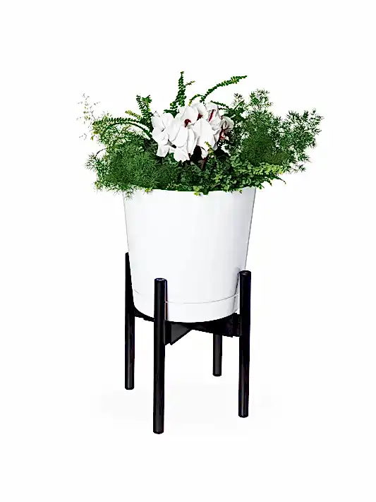 Adjustable Bamboo Plant Stand, Set of 2