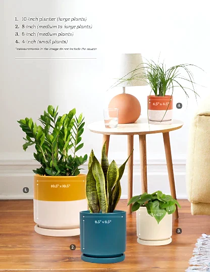 Isabella Planter