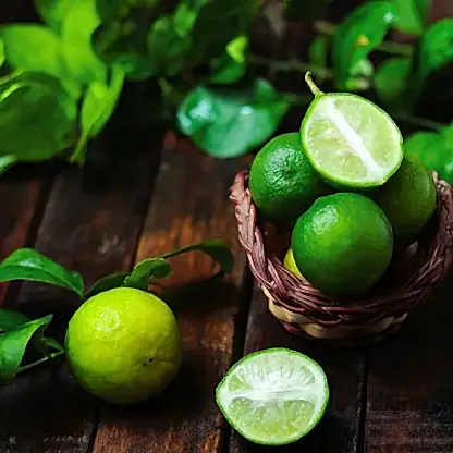 Key Lime Bush