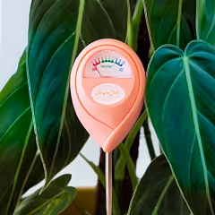 Moisture Meter