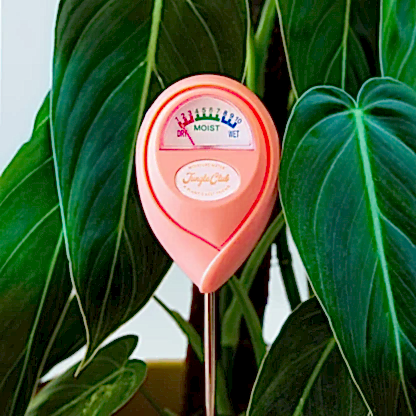 Moisture Meter