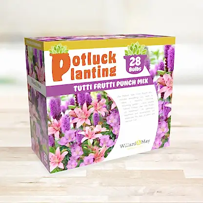 Potluck Tutti Frutti Punch Bulb Mix
