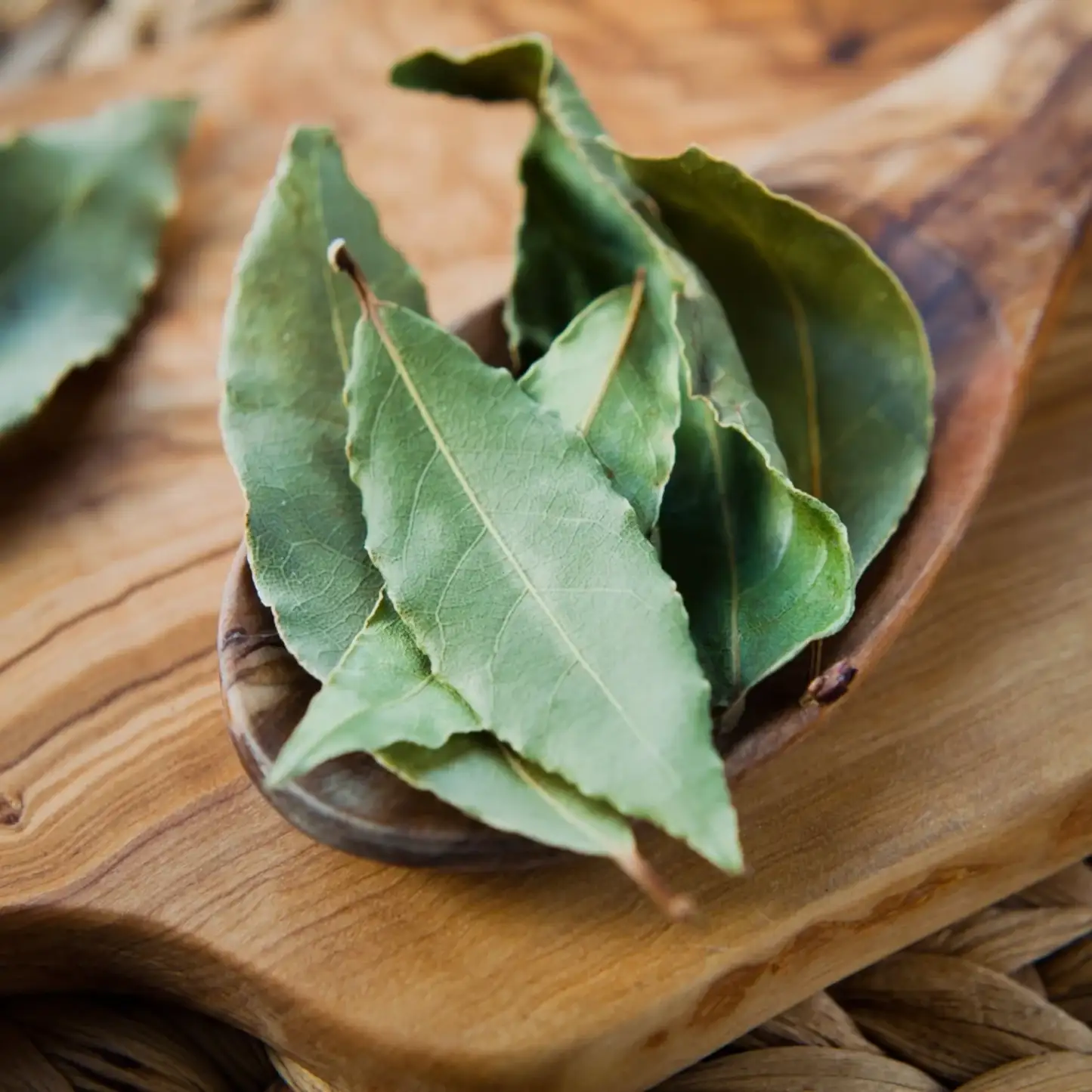 Bay Laurel