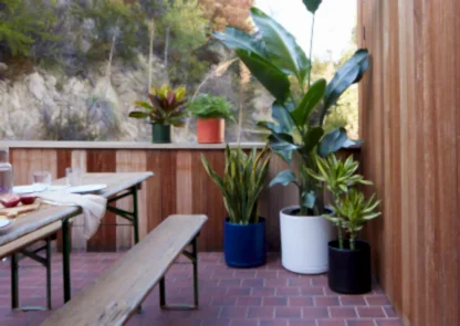Solid Goods Planter with Saucer