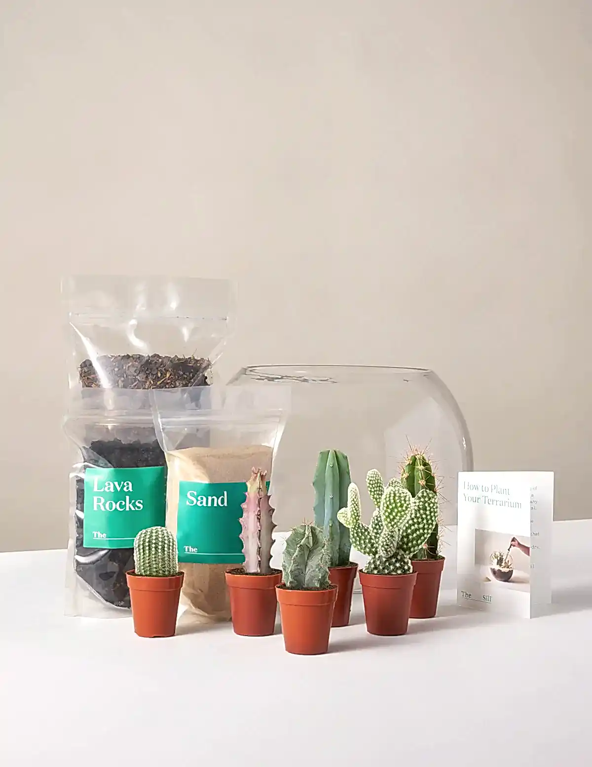 DIY Terrarium Kit