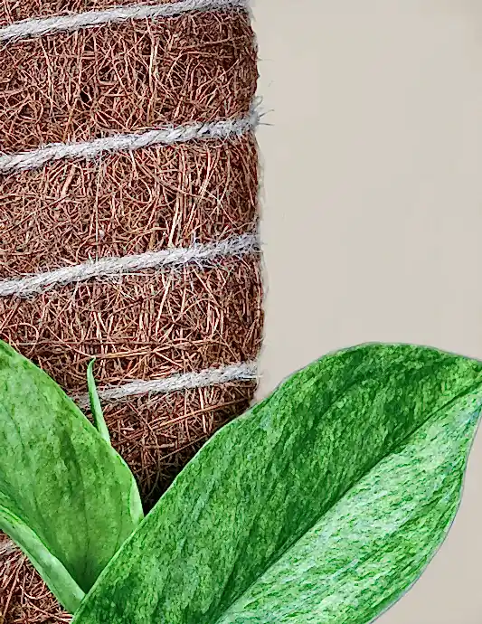 Coco Coir Pole