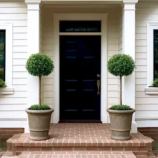 English Laurel Topiary (Single Ball)