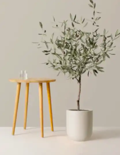 Faux Olive Tree