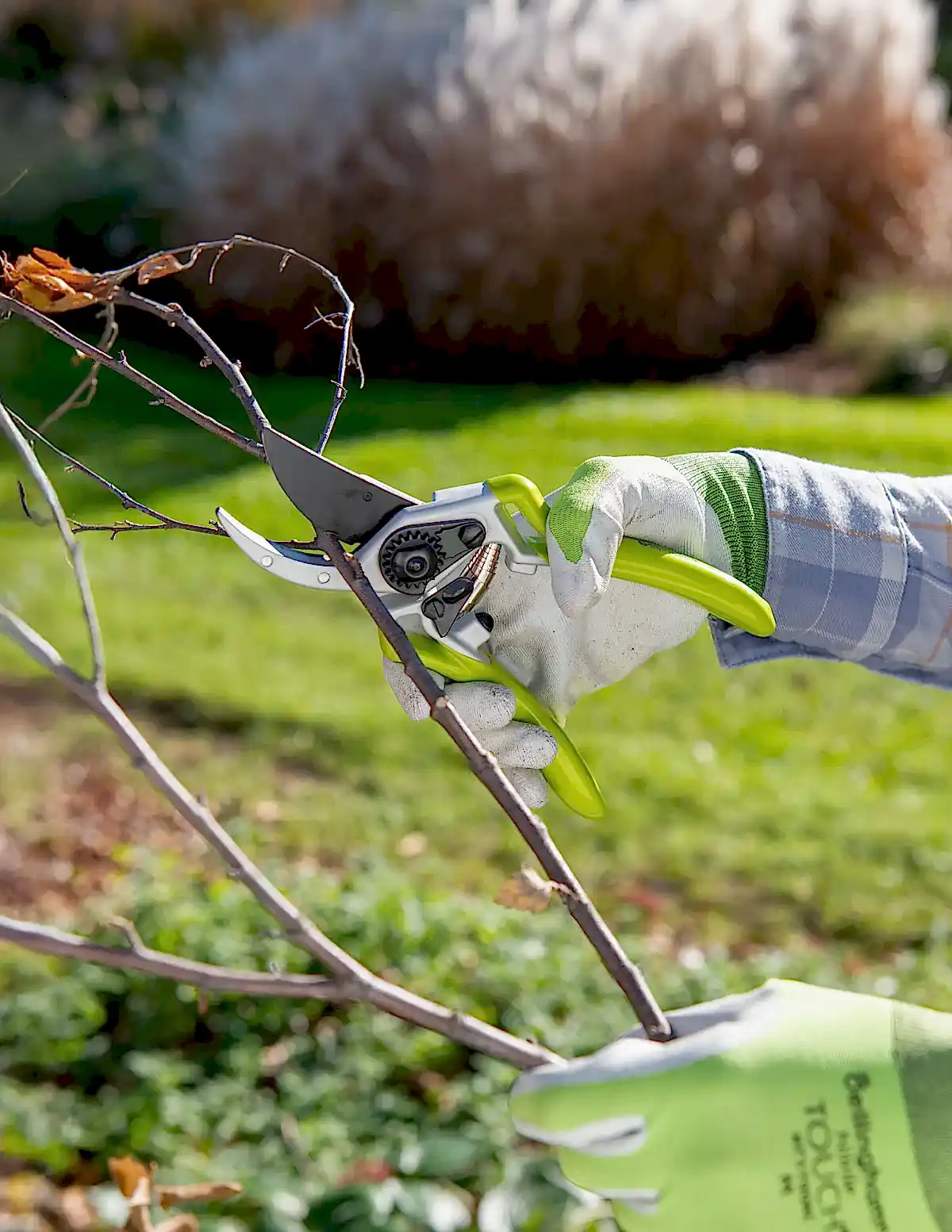 Gardener's Pro Pruner
