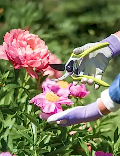 Gardener's Pro Pruner