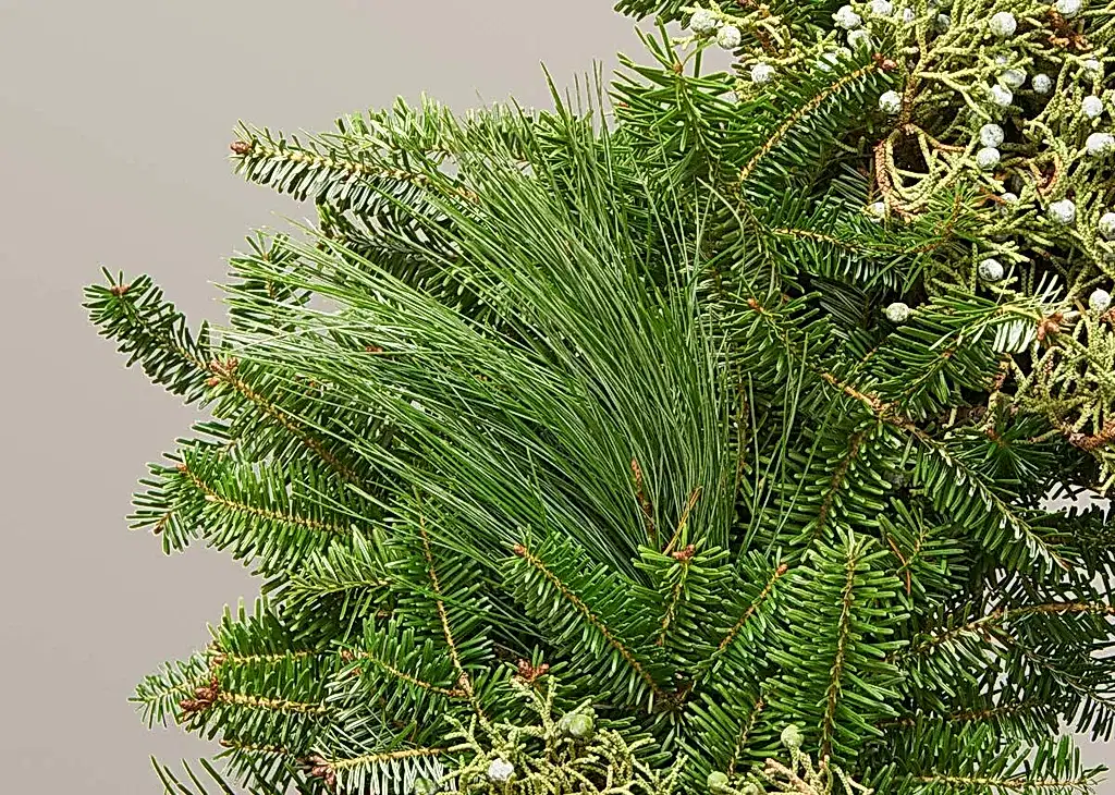 Holiday Wreath