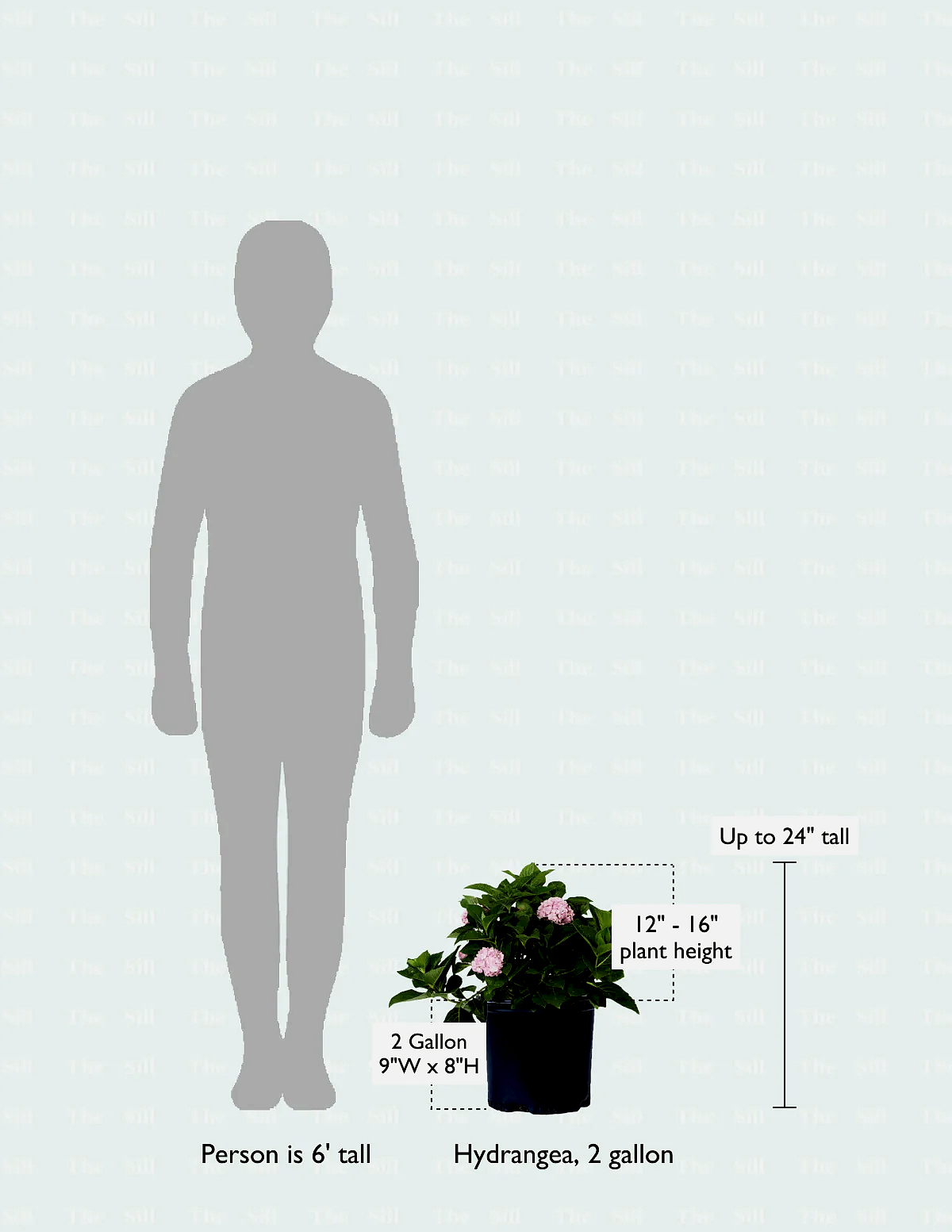 size-guide
