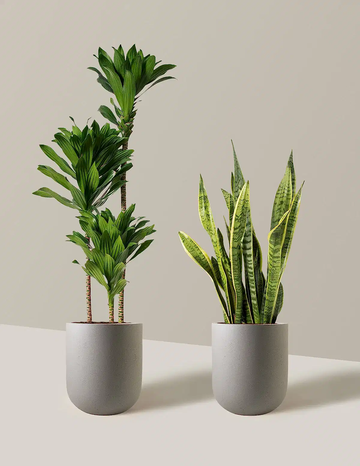 Modern Office Duo
