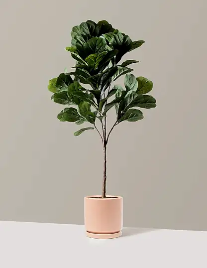 Faux Fiddle Leaf Fig Tree