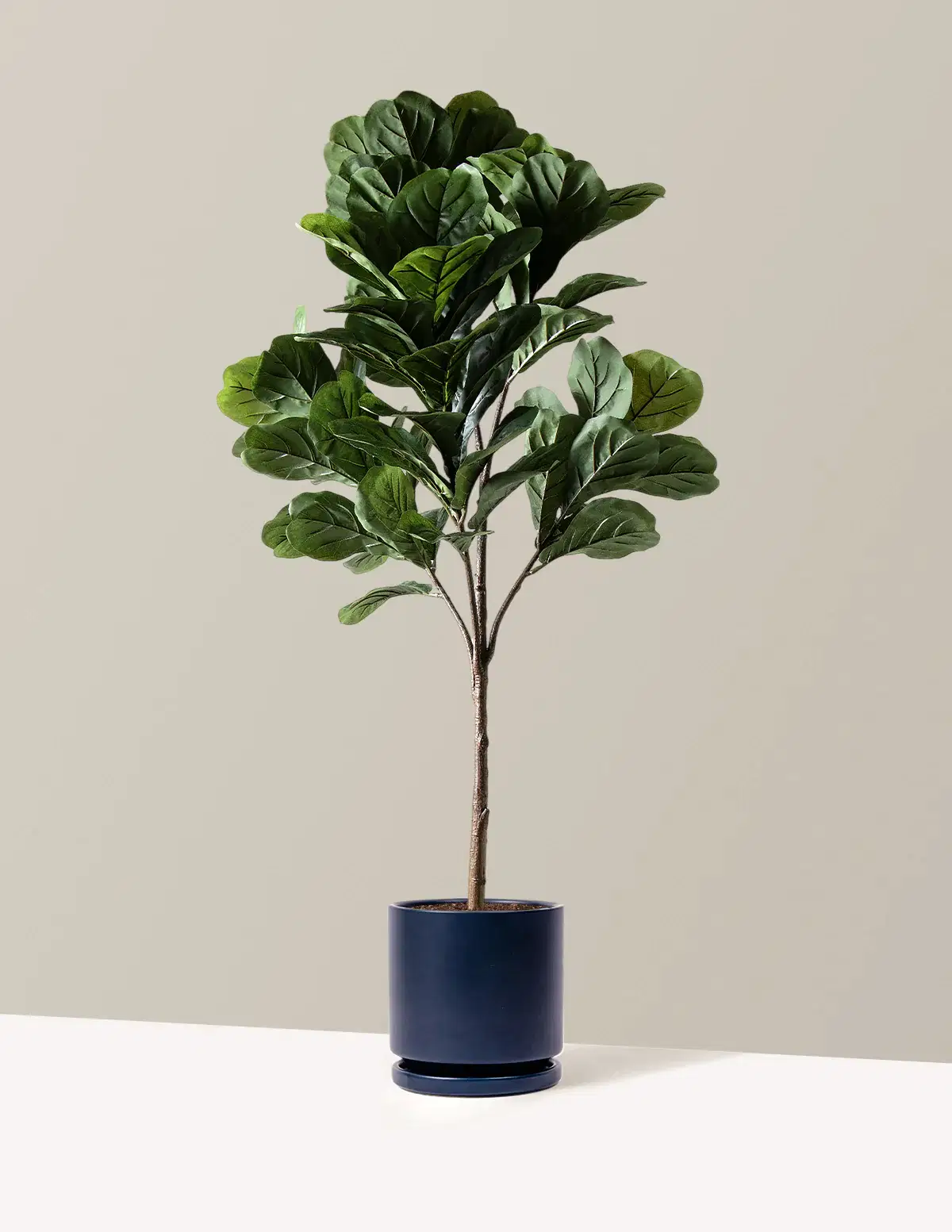 Faux Fiddle Leaf Fig Tree