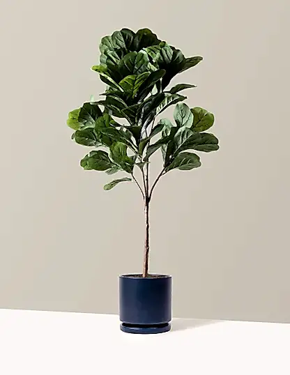Faux Fiddle Leaf Fig Tree