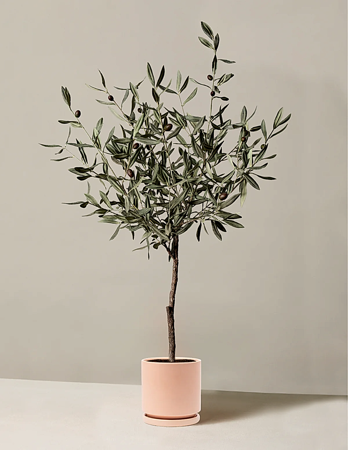 Faux Olive Tree