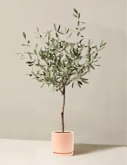 Faux Olive Tree