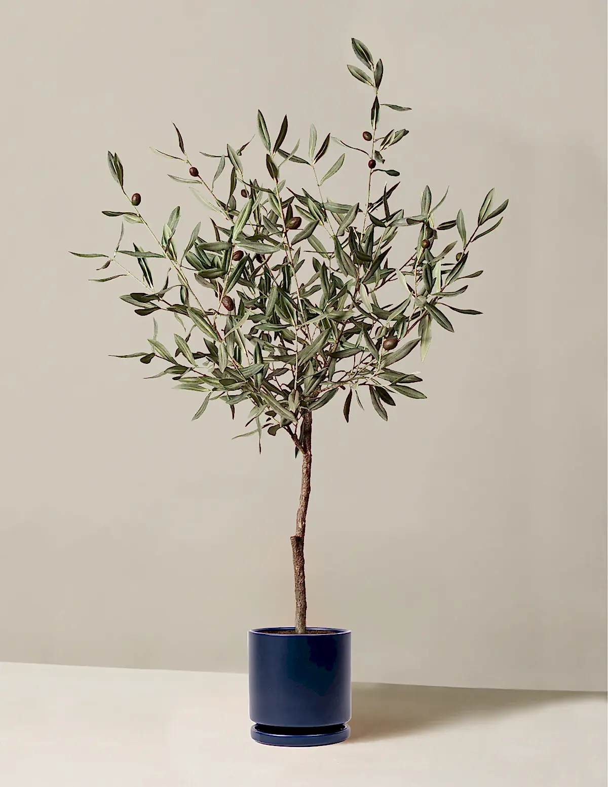 Faux Olive Tree