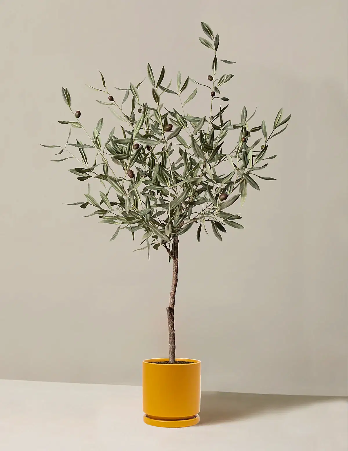 Faux Olive Tree