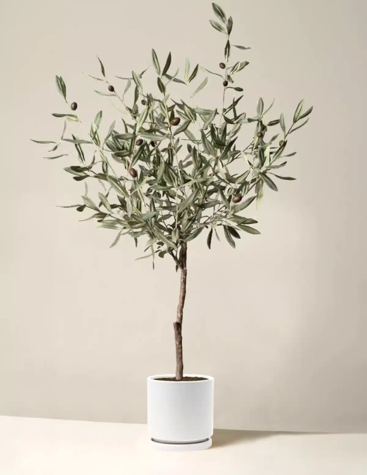 Faux Olive Tree