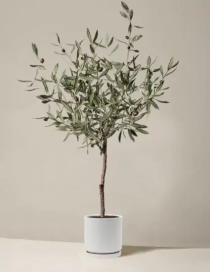 Faux Olive Tree