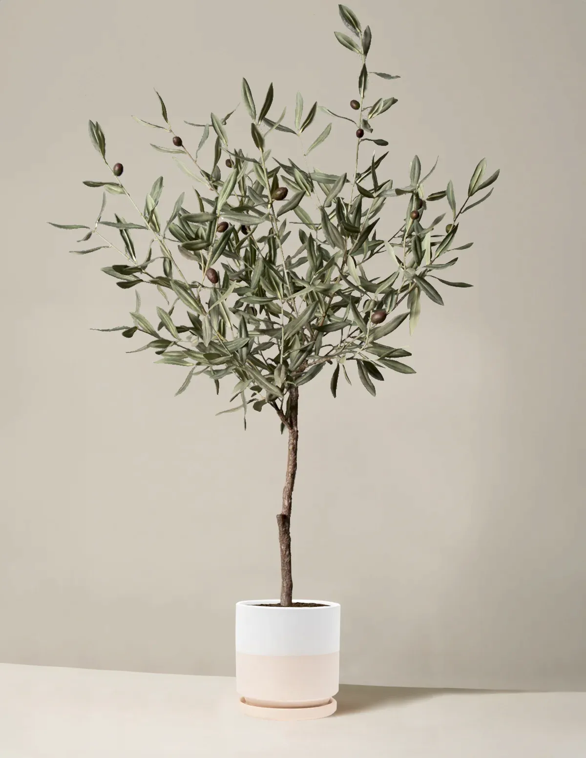 Faux Olive Tree