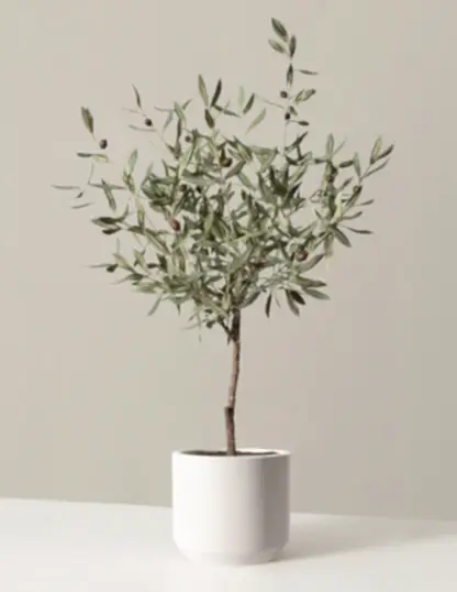 Faux Olive Tree
