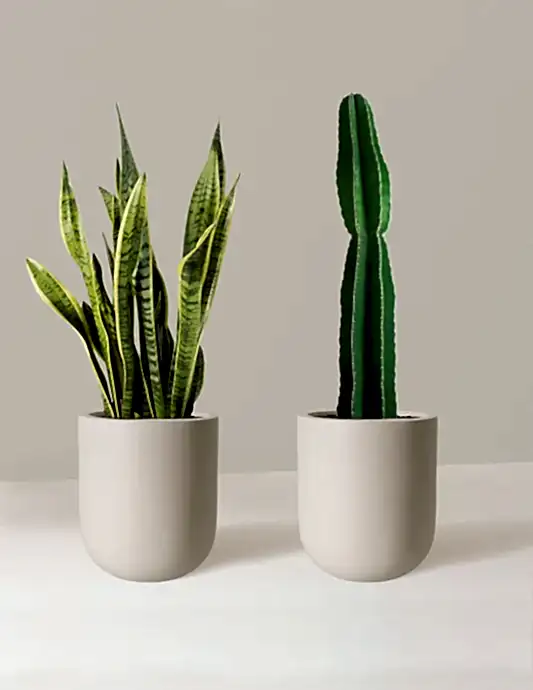 Large Set & Forget Duo