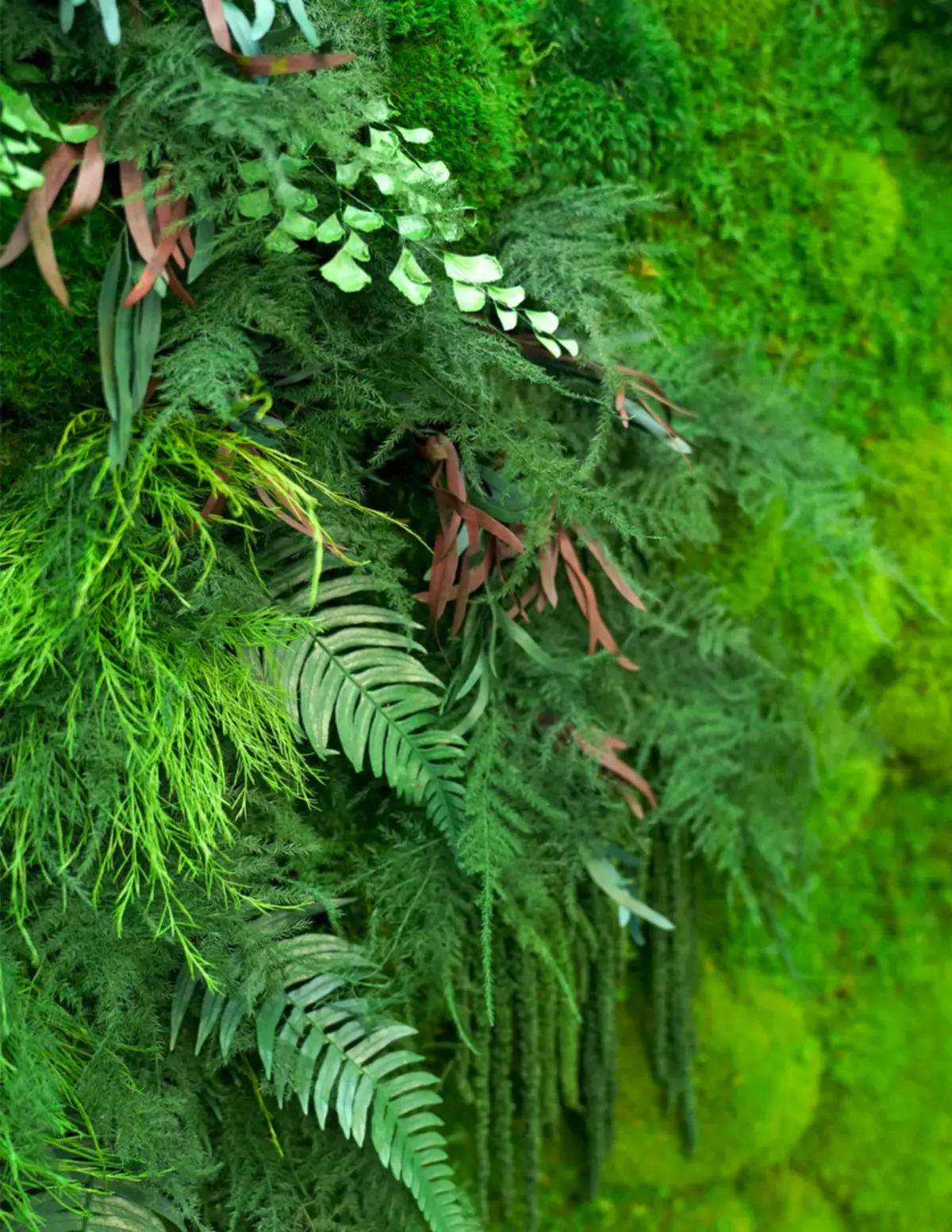Oversized Preserved Living Wall 68" x 68"