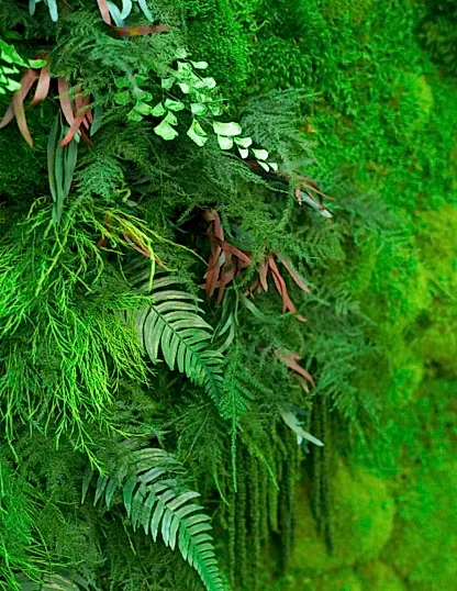 Oversized Preserved Living Wall 68" x 68"