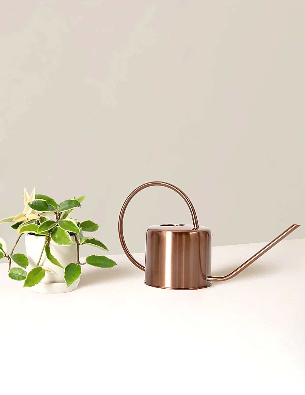 Metal Watering Can