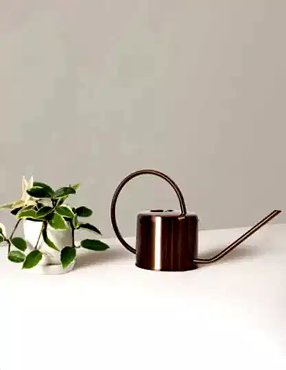 Metal Watering Can
