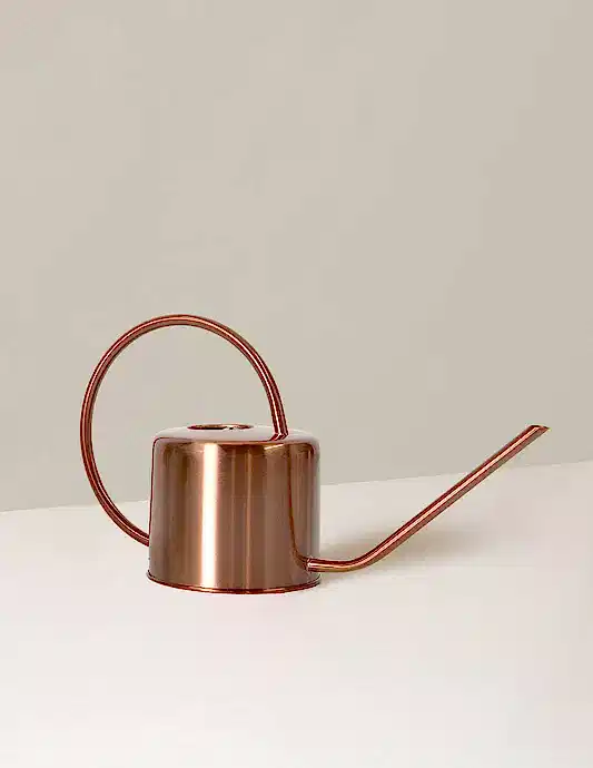 Metal Watering Can