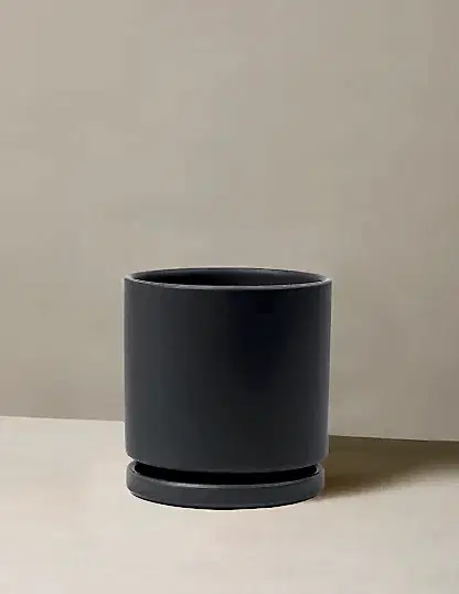 Isabella Planter