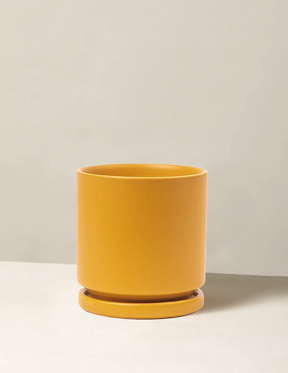 Isabella Planter