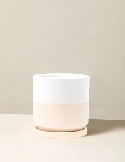 Isabella Planter