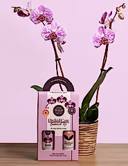 Orchid Care Duo