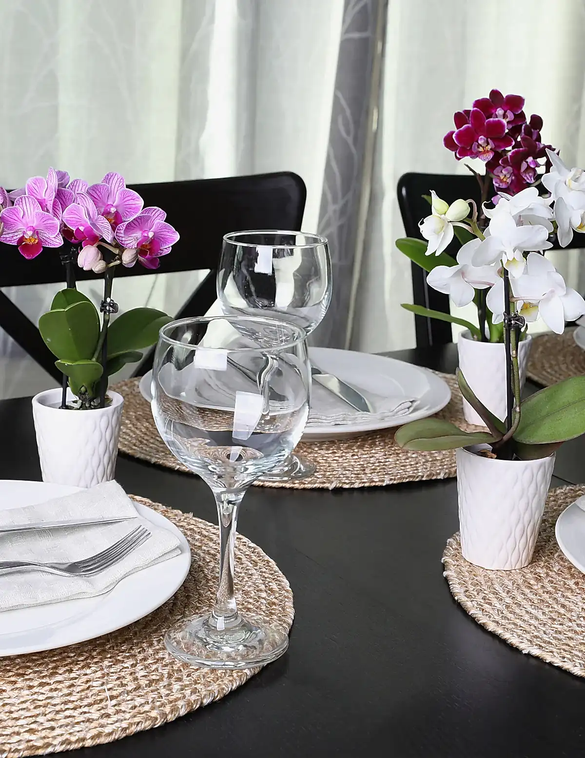 Orchid Party Pack, Set of 20