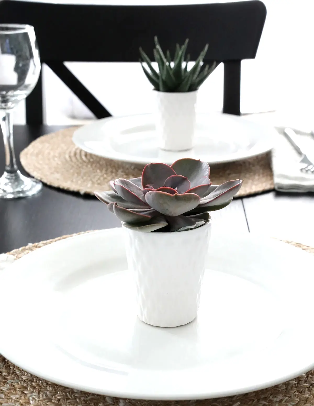 Succulent Party Pack, Set of 20